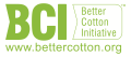 BCI logo.jng